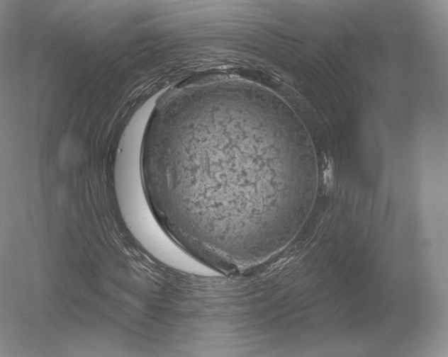 X0000052640819200507082003