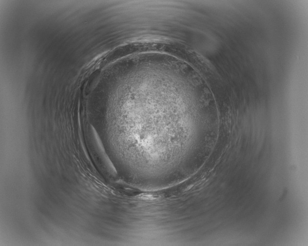 X0000052640821200507082003