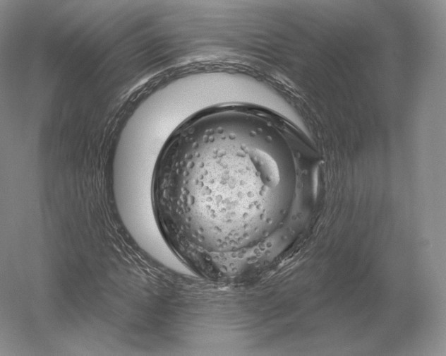 X0000052640822200507082003