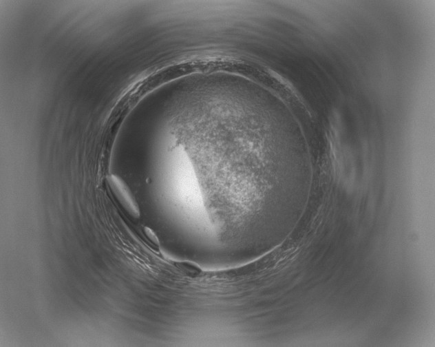 X0000052640823200507082003