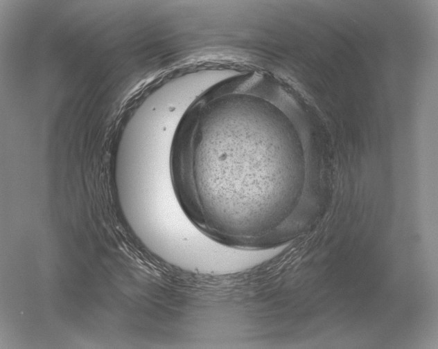 X0000052640824200507082003