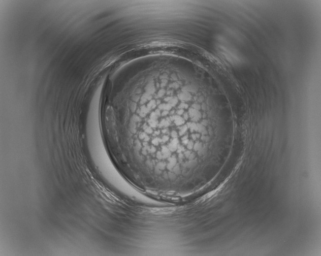 X0000052640825200507082003