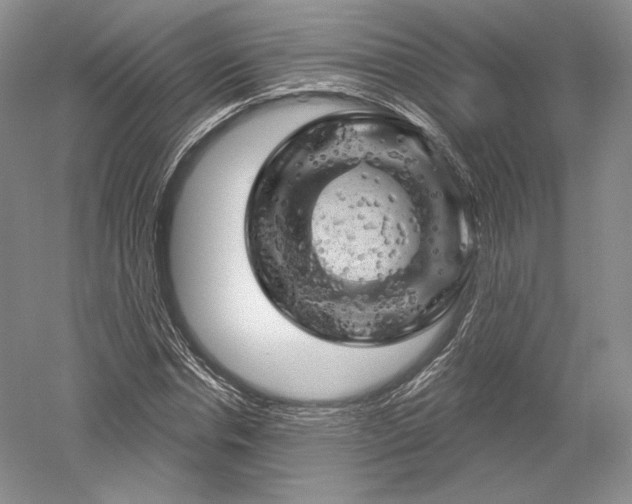 X0000052640826200507082003