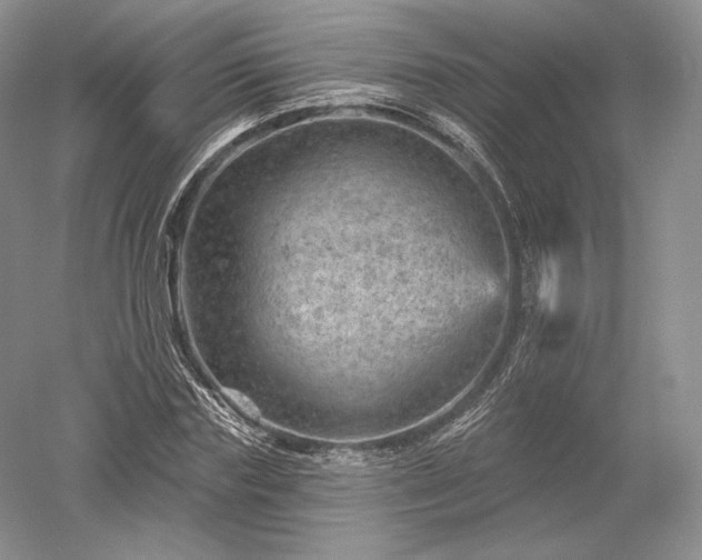 X0000052640827200507082003