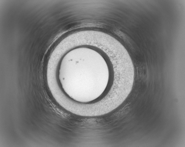 X0000052640828200507082003