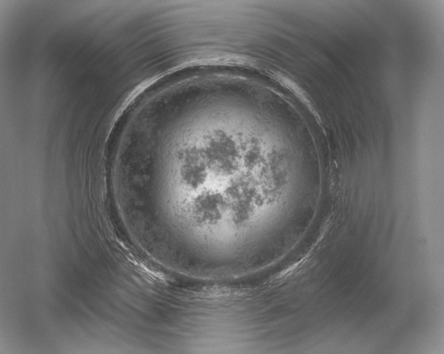 X0000052640829200507082003