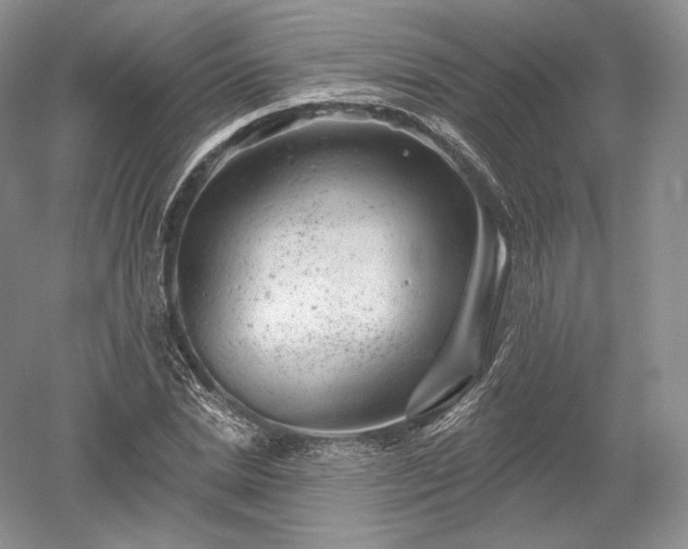 X0000052640830200507082003