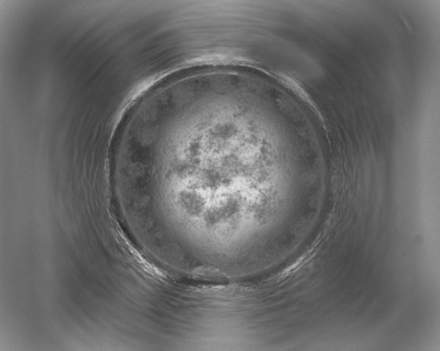 X0000052640831200507082003