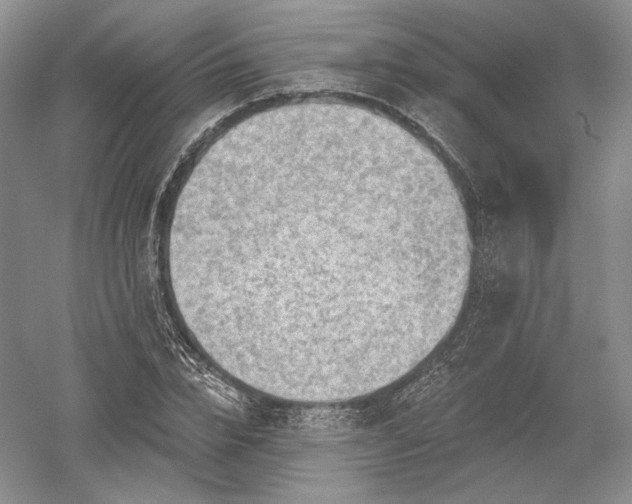 X0000052640832200507082003