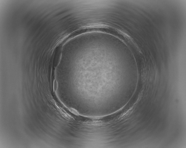 X0000052640833200507082003