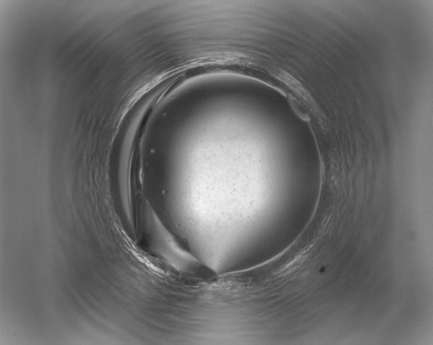 X0000052640834200507082003