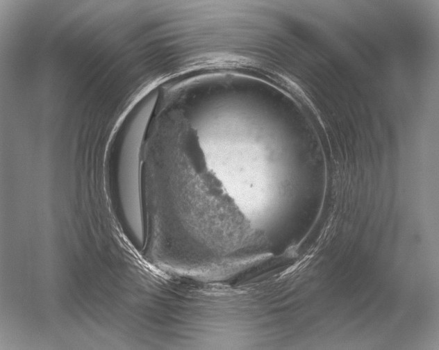 X0000052640835200507082003