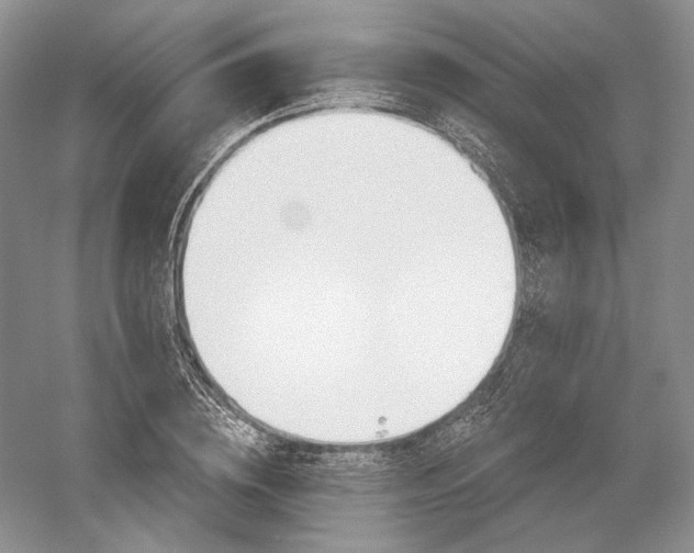 X0000052640836200507082003