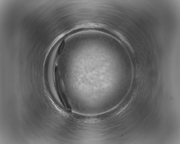 X0000052640837200507082003