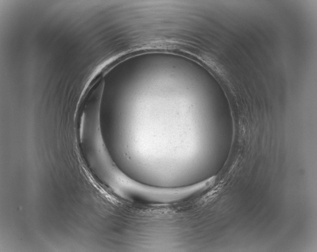 X0000052640838200507082003