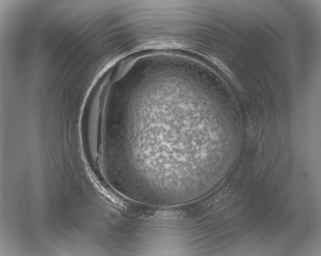 X0000052640840200507082003