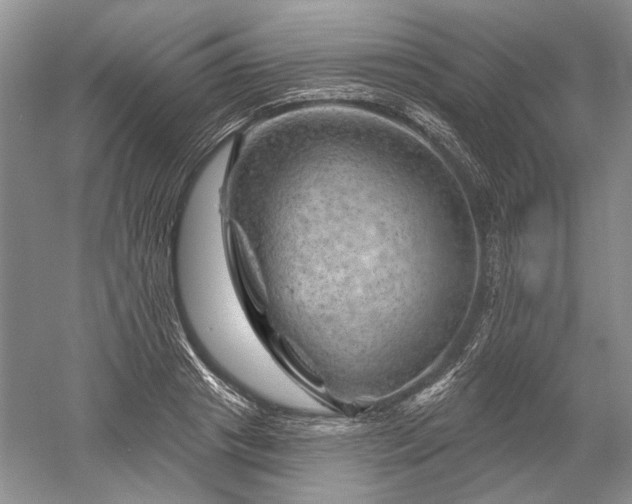 X0000052640841200507082003