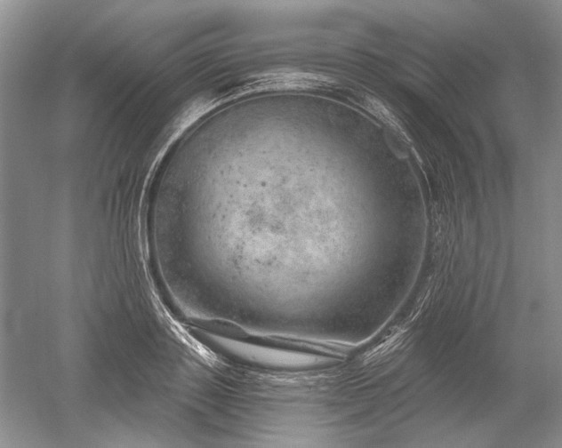 X0000052640843200507082003