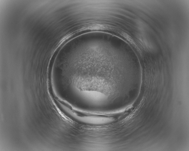 X0000052640845200507082003