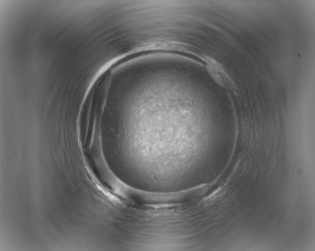 X0000052640846200507082003