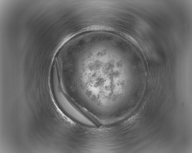 X0000052640847200507082003