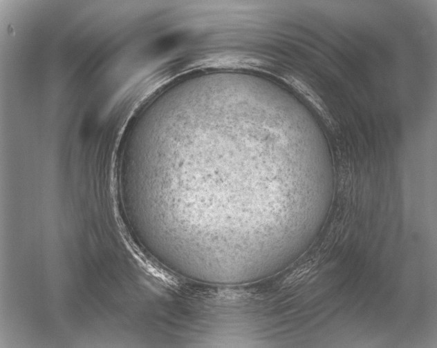 X0000052640848200507082003