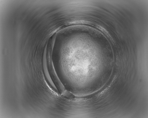 X0000052640849200507082003