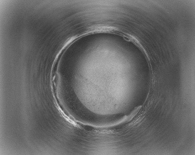 X0000052640851200507082003