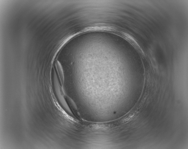 X0000052640852200507082003