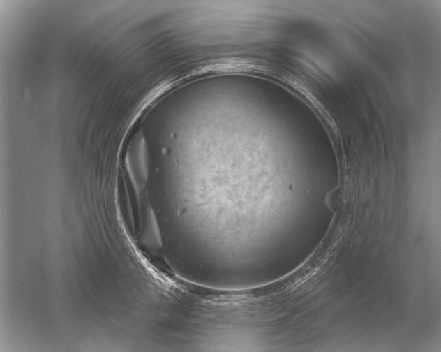 X0000052640853200507082003