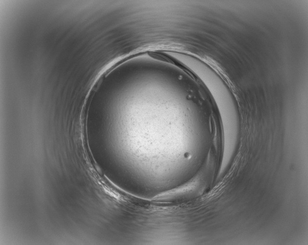 X0000052640854200507082003