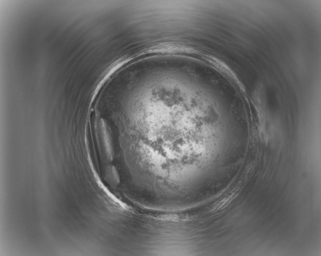 X0000052640855200507082003