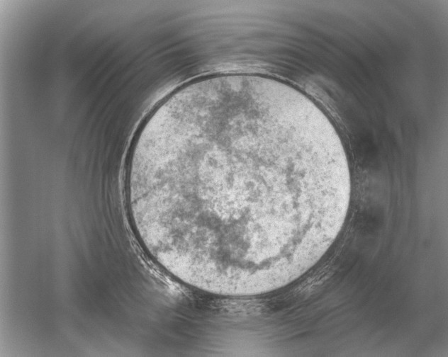 X0000052640856200507082003