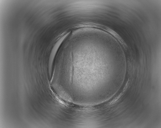 X0000052640857200507082004