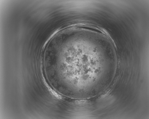 X0000052640859200507082004