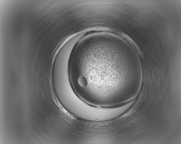 X0000052640860200507082004