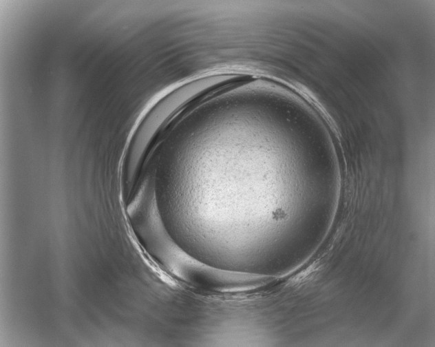 X0000052640862200507082004