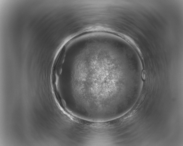 X0000052640863200507082004