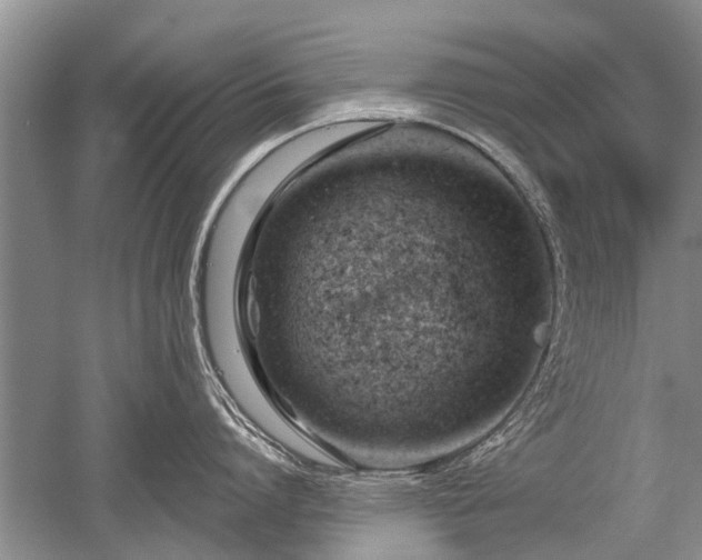 X0000052640864200507082004