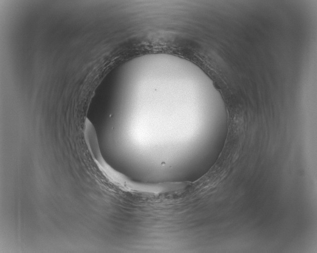 X0000052640865200507082003