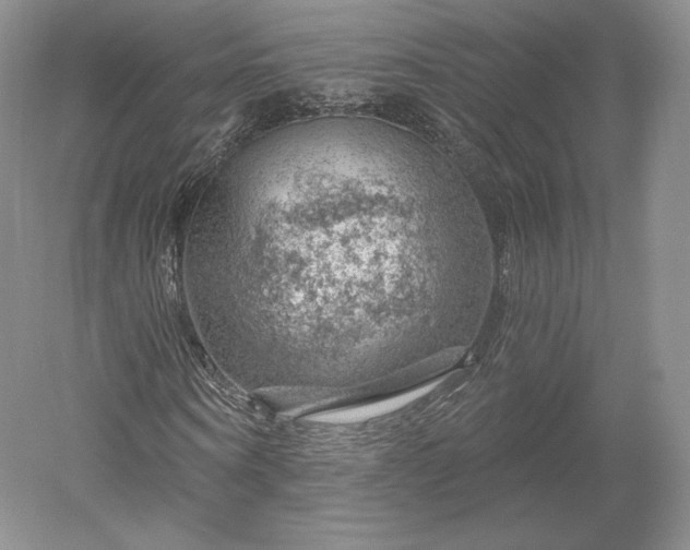 X0000052640866200507082003