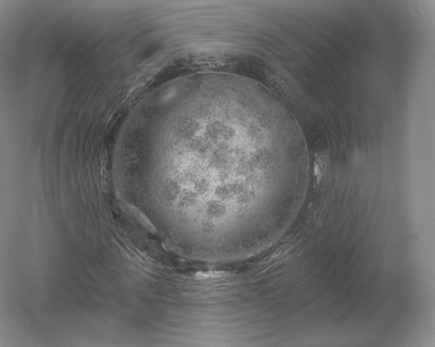 X0000052640867200507082003