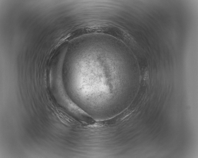 X0000052640868200507082003