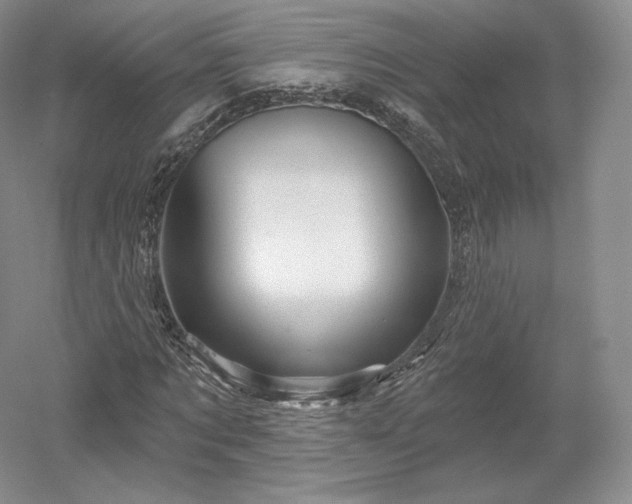 X0000052640869200507082003