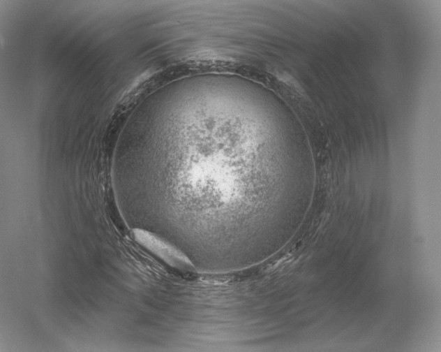 X0000052640870200507082003