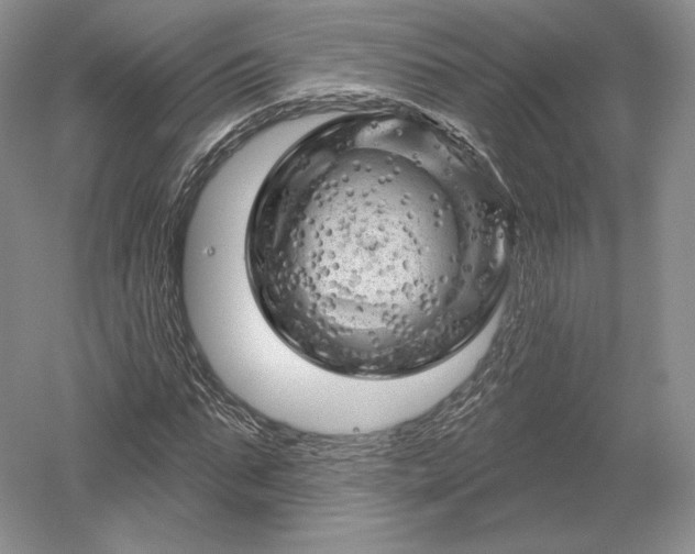 X0000052640871200507082003