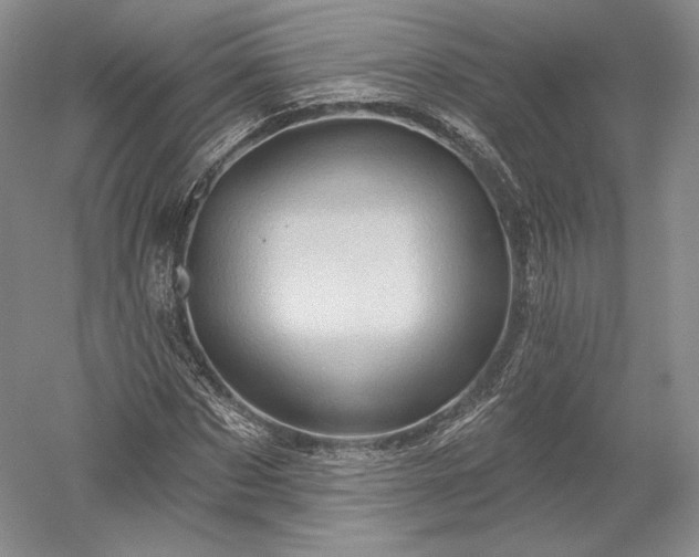 X0000052640873200507082003