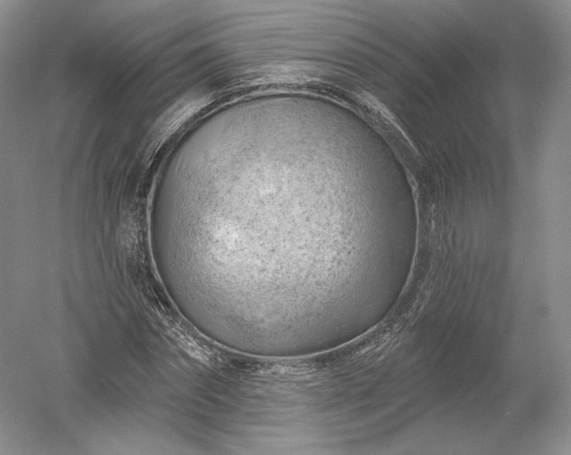 X0000052640874200507082003