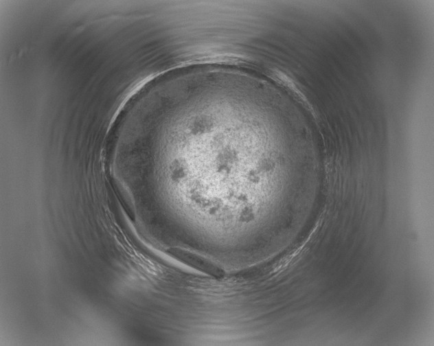 X0000052640875200507082003