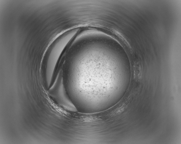 X0000052640876200507082003